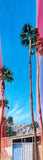 Palm Springs Light Leak I
