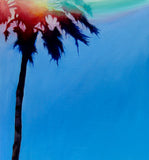 Palm Springs Light Leak II