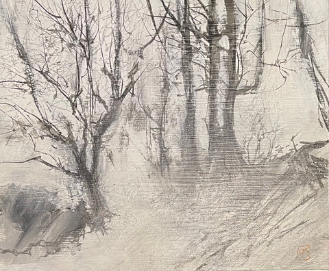 David Baumforth - A walk in Dalby Forest