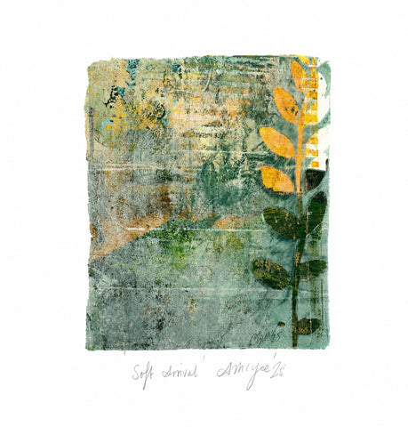 Ails McGee - Soft Arival
