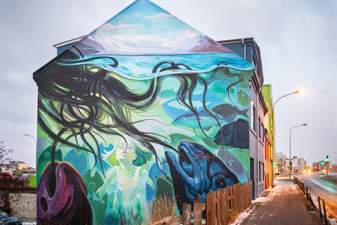 Jim Poyner - Iceland Street Graffiti I