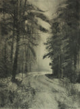 Road through Cropton Forest